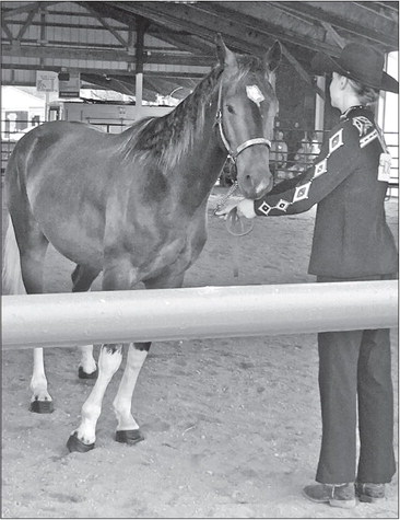 From wild to best friend: SAE success