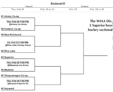 Hockey teams draw tough opening-round assignments in upcoming WIAA tournaments