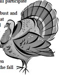 Fall turkey harvest numbers and permit sales increased