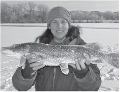 Home on the ice