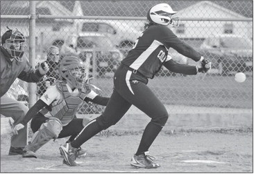 Softball extends winning streak