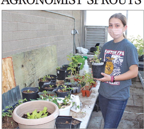 A FUTURE AGRONOMIST SPROUTS