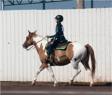 HALTER CLASS 01: PONIES 
	Alexis ….