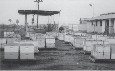 Three generations of beekeepers live the sweet life