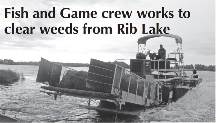 Fish and Game crew works to clear weeds from Rib Lake