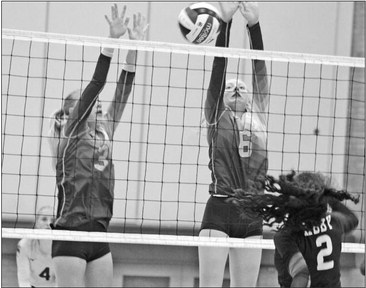 Hornets volleyball wins Cloverbelt opener