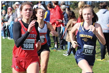 Hawks place 8th in boys race; Goodrich is 26th for girls