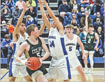 Hornets fall in regional title tilt