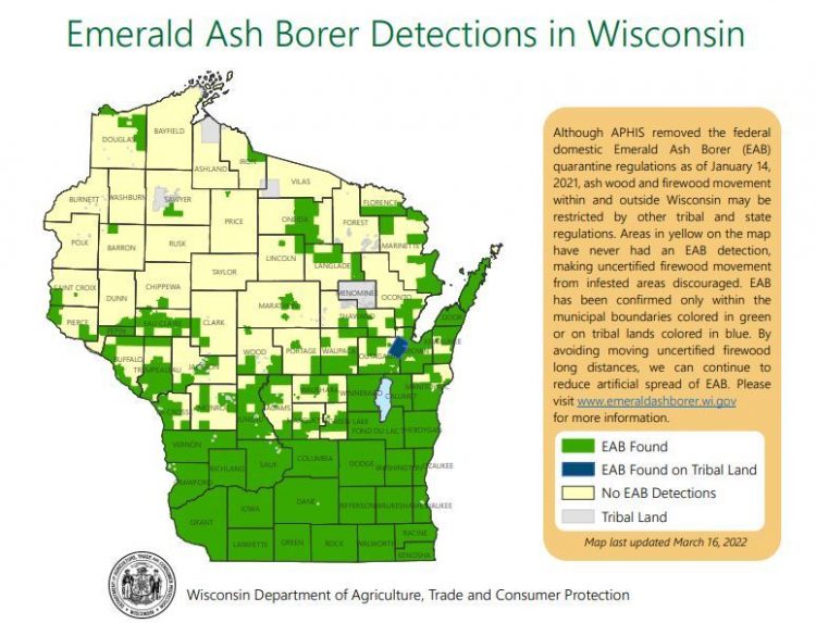 Protect trees against the emerald ash borer