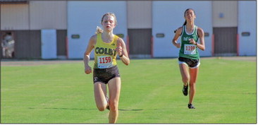 Colby-Abby X/C starts season strong