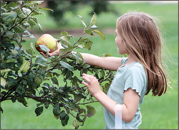 “We planted a few trees ….