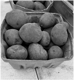 Potatoes dig deep at Farmer’s Market