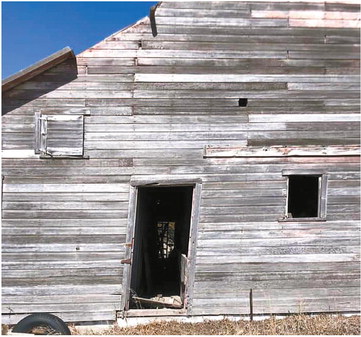 Webster helps bring new life to historic barn