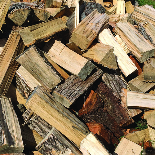 Use local firewood to prevent spread of pests