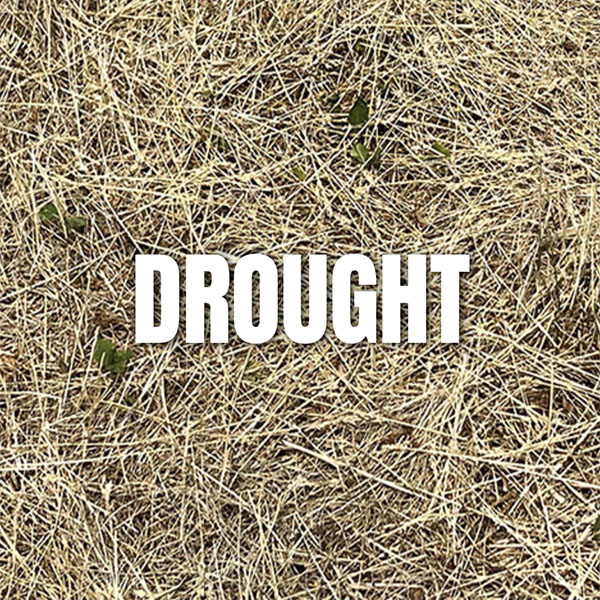 Statewide drought calls for webpage resources