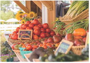 Savor the season and get the most out of farmers markets