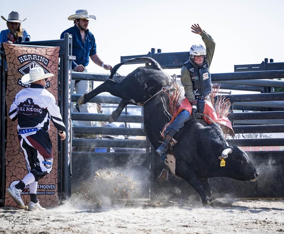 The fun lasts more than 8 seconds for bull riding title