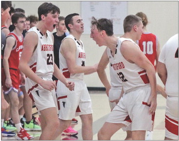 Second Half Surge Pushes Abby Past Cards - Central Wisconsin News