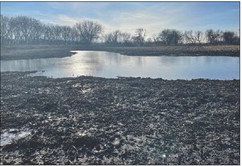 Funding now available for wetland mitigation projects