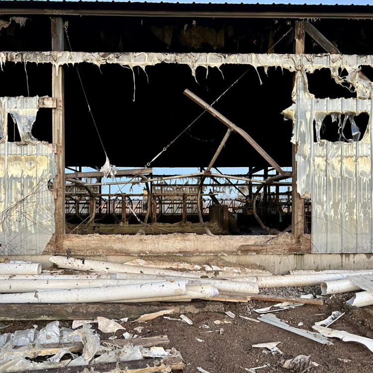 Farm family grieves the loss of cows, in wake of barn fire