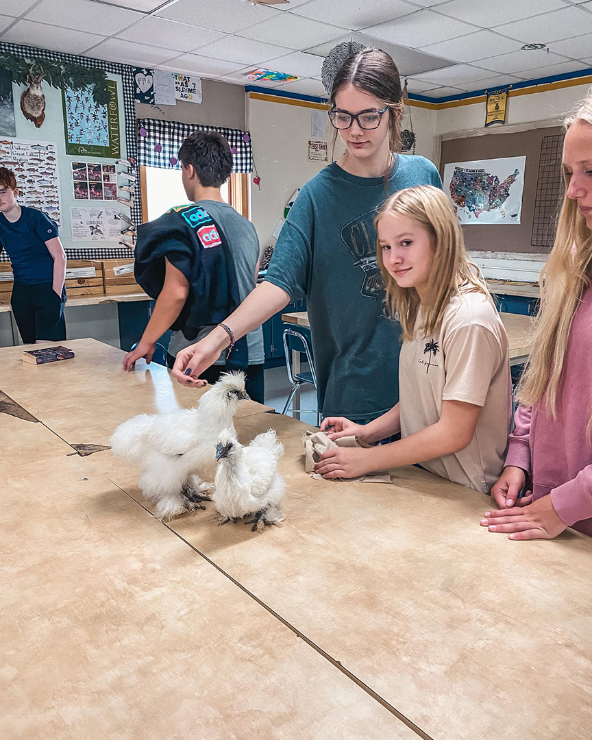 Thinking outside-the-box is a must for Cornell FFA