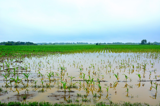 Prepare for possible spring flooding before it happens