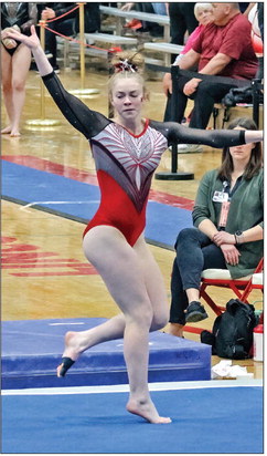 State gymnastics - Central Wisconsin News