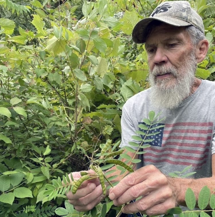 Rare plant seen after 100 years of absence