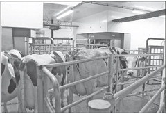 Dairy technology