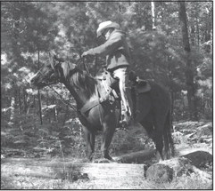 Horseback riding: A ‘wonderful way to enjoy nature’