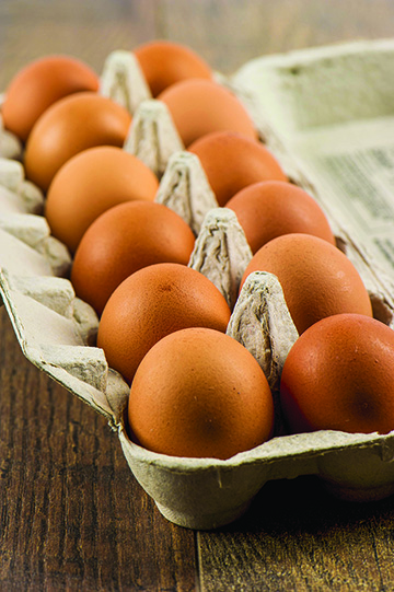 Eggs recalled over chain of Salmonella infections