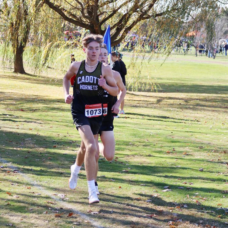 Steinke punches ticket to State for Cadott runners