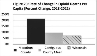 Consultants urge more action on opiate issues