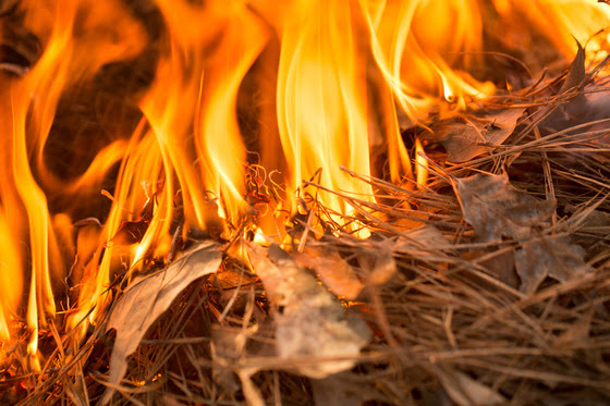 Conditions are right for an increased risk of wildfires